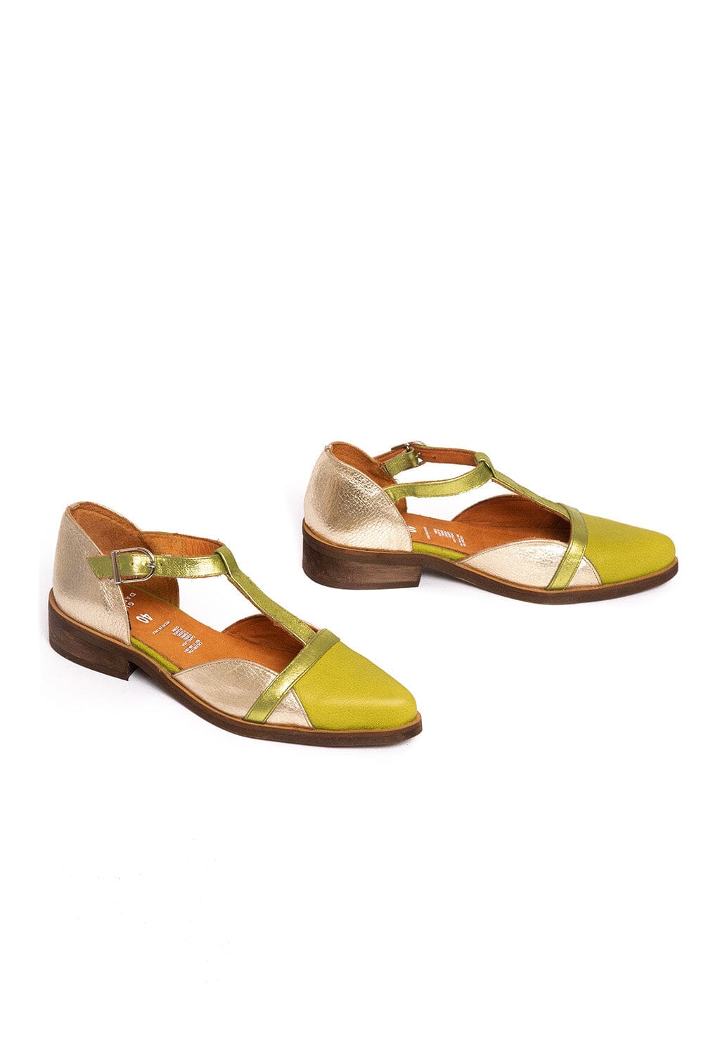 Zapato Mujer / Pomarino Verde Niquel ZAPATOS Giani Dafirenze 