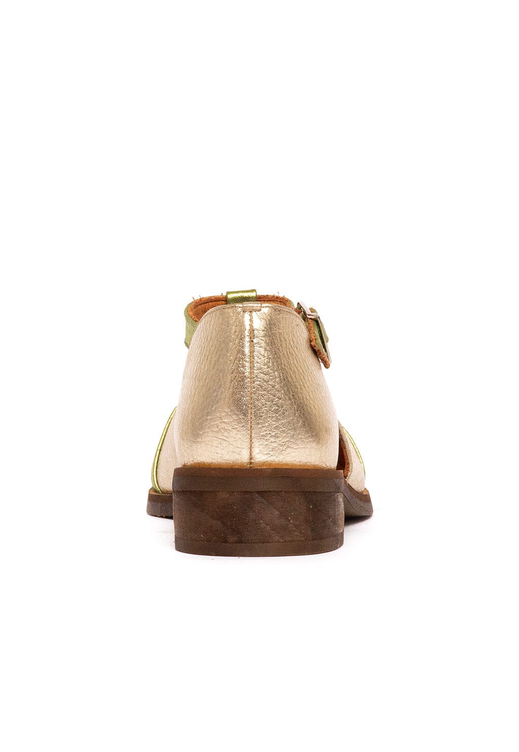 Zapato Mujer / Pomarino Verde Niquel ZAPATOS Giani Dafirenze 