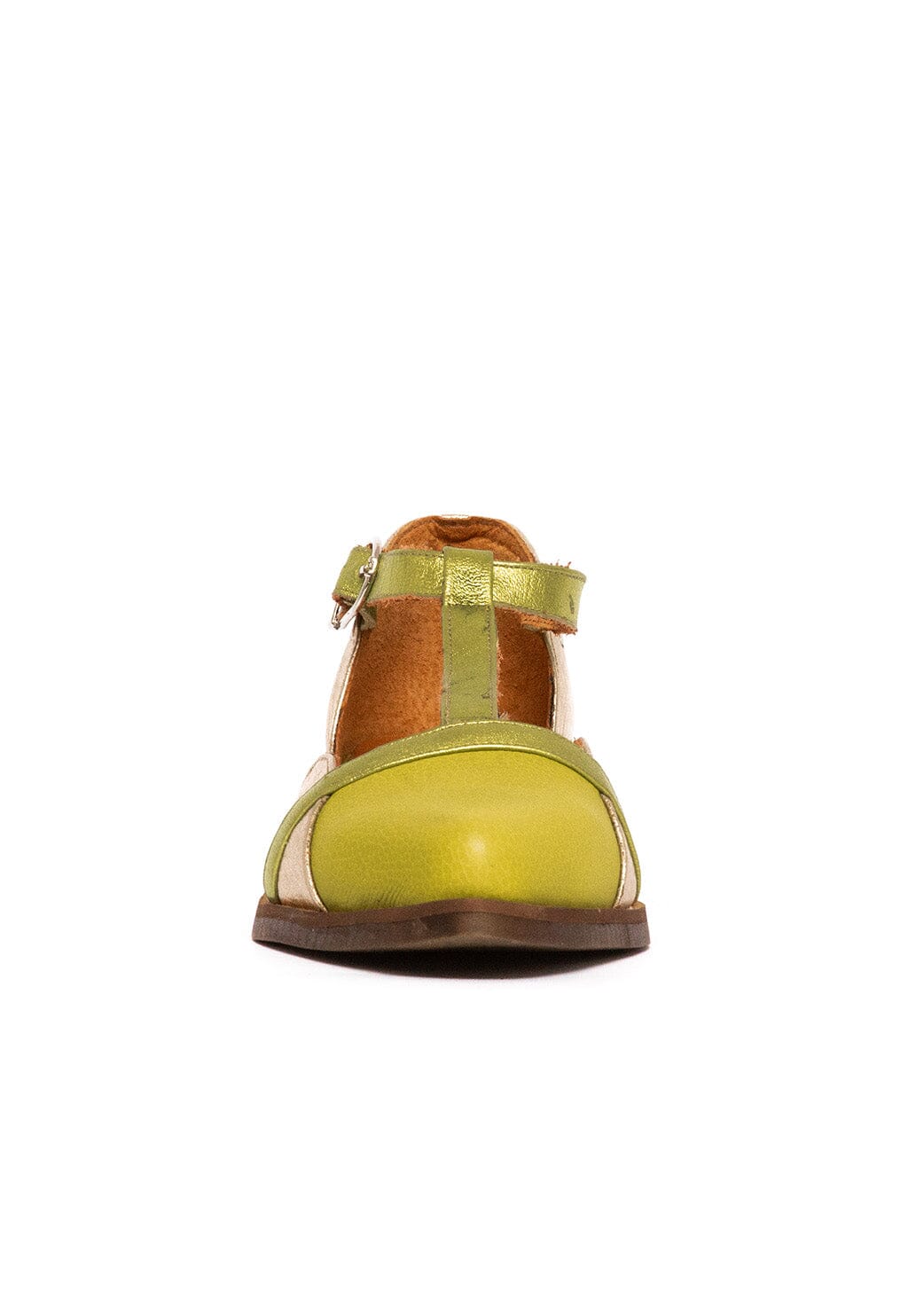Zapato Mujer / Pomarino Verde Niquel ZAPATOS Giani Dafirenze 