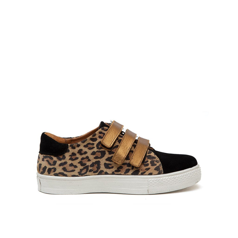 Zapatillas EUCALIPTO C1 Zapatillas Giani Dafirenze 